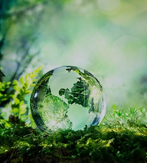 Sustainable Development