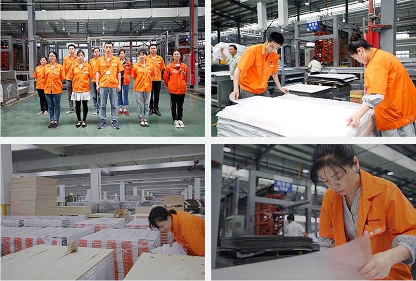 QC Team