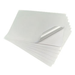 Water-based Adhesive White Silicon Paper Label SW-SWW80-85
